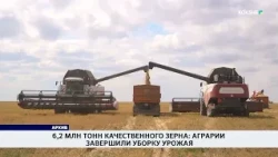 6.2 Million Tons of Quality Grain: Farmers Complete Harvest