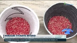 MINAGRI iri gushaka igisubizo kirambye ku mbuto z'ubuhinzi ziberanye n'ubutaka bw'u Rwanda