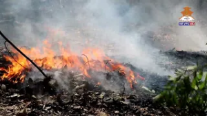 धादिङ / डढेलोको समस्या / उपकरण नहुदाँ समस्या || NEPAL TELEVISION