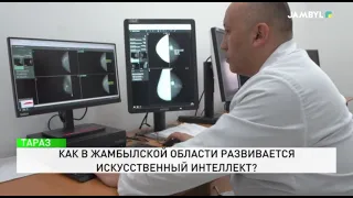How is artificial intelligence developing in the Jambyl region?