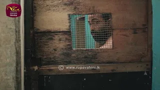 Genu Pirimi Mal Palathuru | Rupavahini TeleDrama 06