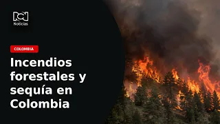 Incendios forestales y sequía durante el fenómeno de El Niño: así va el panorama nacional