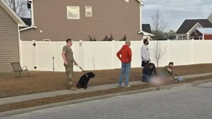 Quick-thinking neighbors in Fayetteville help save man from dog attack