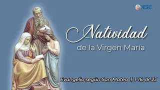 Gospel 📖 commentary September 08🕊️