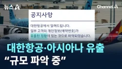 Korean Air and Asiana Airlines Customer Data Breach... "Assessing the Extent" / Channel A / News A