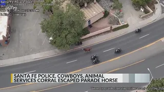 VIDEO: Escaped horse leads police on chase in Santa Fe