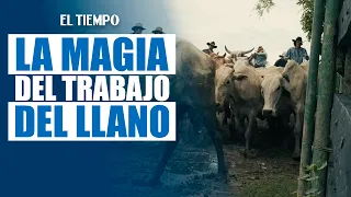 The Magic of Plains Ranching | EL TIEMPO