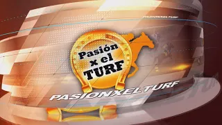 PASSION FOR HORSE RACING