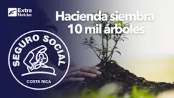 Hacienda in Heredia plants 10,000 native trees and receives Ecological Blue Flag