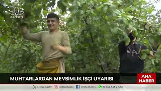 Ordu Altaş TV Main News | August 10, 2026