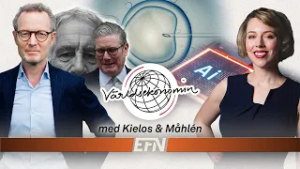 81. AI-rusets baksmälla och fertilitetens fall