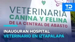 Central de Abasto opens veterinary hospital to care for dogs and cats