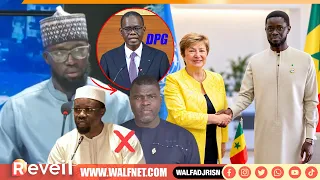 Diomaye-FMI, DPG d' Al Amine Lo: Elhadji Sow charge pastef et fracasse Amadou Ba sur les lois