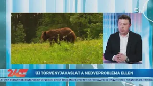 24plusz: Több medvét lehet kilőni idén?
