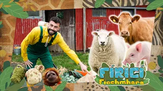 Fíricí Fíochmhara | Ainmhithe na Feirme | Amhrán 🐷