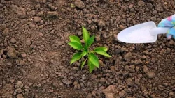 Tobago Farmers Learn To Use Fertilisers More Effectively