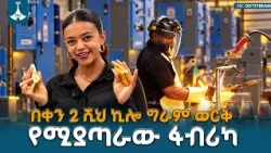 በኢትዮጵያ በይፋ ሥራ የጀመረው ብሔራዊ የከበሩ ማዕድናት ማጣሪያ ፋብሪካ በቀን እስከ 2 ሺህ ኪሎ ግራም ወርቅ የማጣራት ግዙፍ አቅም አለው!