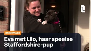 Óngerwaeg over Lilo in Elsloo