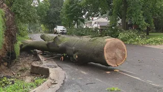 National Guard joins storm cleanup in northwest Indiana - WGN Midday News