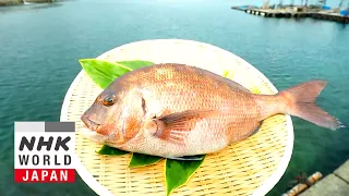 Red Sea Bream - Trails to Oishii Tokyo