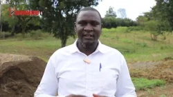 Arimi kurio mahimbirie urimi wa mboga na matunda makihuthira njira cia kiiriu