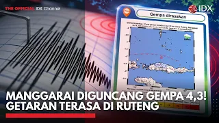 MANGGARAI DIGUNCANG GEMPA 4,3! Getaran Terasa di Ruteng | IDXC UPDATE
