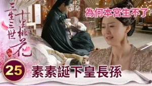 灰姑娘成功生下一位皇子 心機天妃得知後大崩潰！【三生三世十里桃花】精華 EP25-3 楊冪、趙又廷、迪麗熱巴、高偉光、張智堯 @ctvdrama_classic