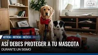 Your pet also needs help during an earthquake