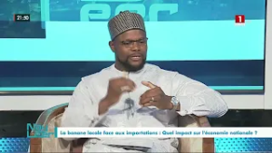 Autosuffisance en bananes : Yaya Mamadou Sall fixe l’échéance à 2029 si…