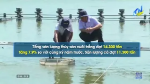 Tây Ninh: Sản lượng thủy sản nuôi trồng tăng gần 8%