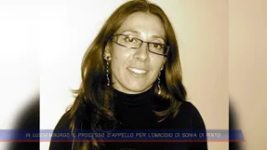 TLT NEWS EDIZIONE GIORNO DEL 24-02-26