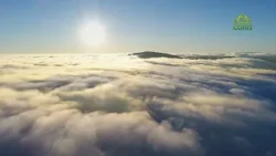 Poetry Above the World. Poems by Grand Duke Konstantin Romanov and Nikolai Vasilievich Gogol