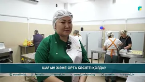 Шағын және орта кәсіпті қолдау