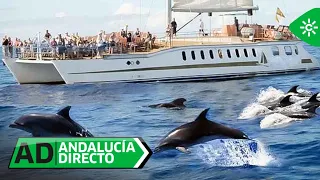 Andalucía Directo | Wednesday, September 2nd