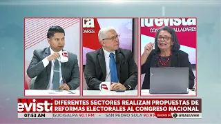"Political parties believe the country belongs to them," questions Julieta Castellanos