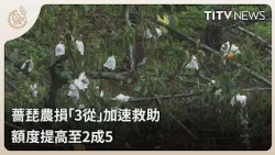 Agricultural Losses from Typhoon Kong-rey 1900
