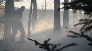 Extrémne sucho a nárast požiarov