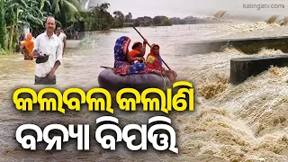 କଲବଲ କଲାଣି ବନ୍ୟା ବିପତ୍ତି, ଯୁଆଡ଼େ ଚାହିଁଲେ ଖାଲି ପାଣି ଆଉ ପାଣି