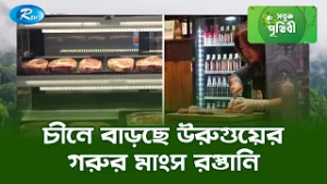 চীনে বাড়ছে উরুগুয়ের গরুর মাংস রপ্তানি | Sobuj Prithibe | Rtv