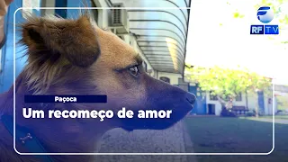Paçoca's second chance