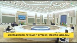 $20 млрд межесі: Президент бірлескен әрекетке шақырды