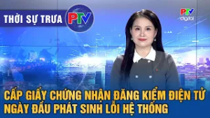 Thời sự Phú Thọ trưa 3/3/2026 | Cấp giấy chứng nhận đăng kiểm điện tử phát sinh lỗi hệ thống