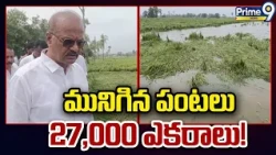 దెబ్బతిన్న వరి చేలను పరిశీలించిన ఎమ్మెల్యే బొలిశెట్టి శ్రీనివాస్ | Bolisetti Srinivas | Prime9 News
