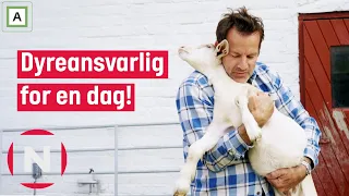 Ellen drar, Jon sitter igjen med dyra! | Jon blir bonde | TVNorge