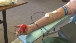 JESENNÁ KVAPKA KRVI