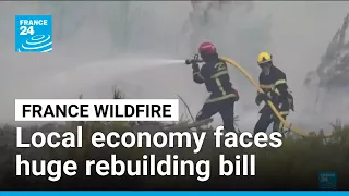 France wildfire: Local economy faces huge rebuilding and reforestation bill • FRANCE 24 English