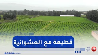 A New Agricultural Framework Law: Putting an End to Disorganization