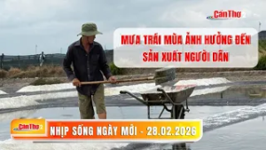 Mưa trái mùa ảnh hưởng đến sản xuất người dân | Nhịp sống ngày mới 28.02.2026 | Cần Thơ