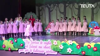 Një fillim i ri për Xixëllonjat