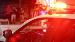 25-year-old man shot dead in a bar in Lagoa Formosa.